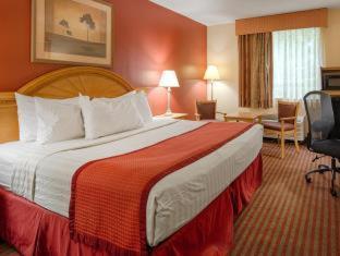 Best Western Center Inn Virginia Beach Habitación foto