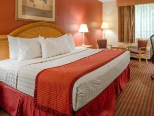 Best Western Center Inn Virginia Beach Habitación foto